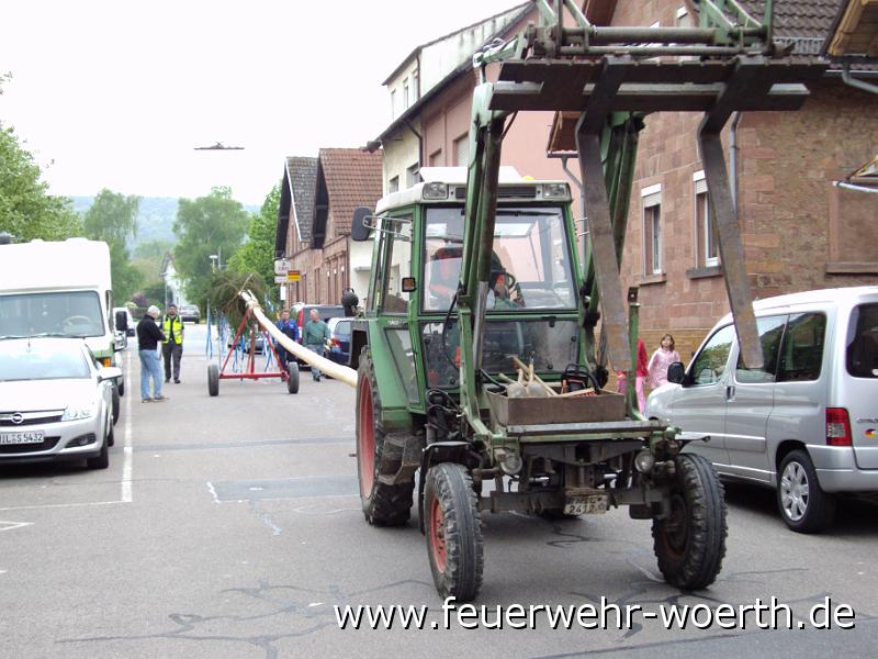 maibaum_2009_ 008.jpg
